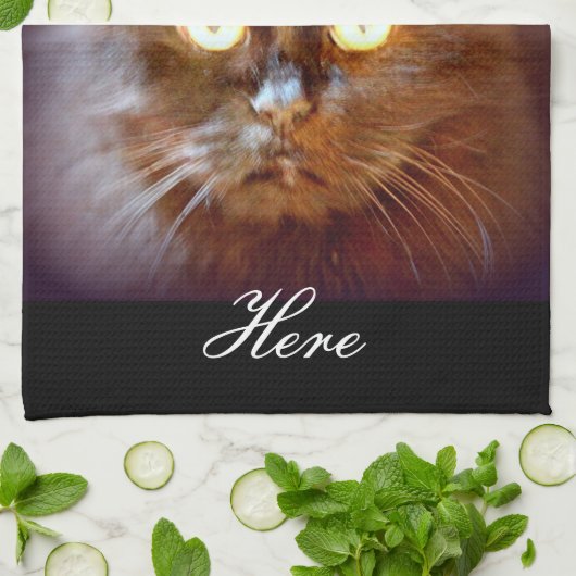 Linge De Cuisine chat noir (Plié)