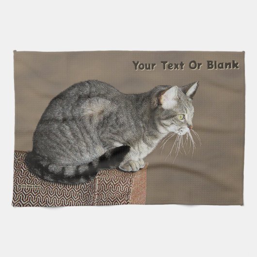 Linge De Cuisine Chat Tabby Gris Fumé (Horizontal)