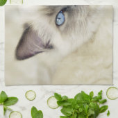 Linge De Cuisine Chaton Ragdoll (Plié)