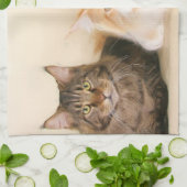 Linge De Cuisine Chats de ragondin du Maine (Plié)