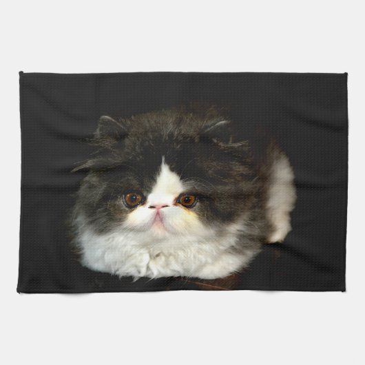 Linge De Cuisine Chatte blanche noire (Horizontal)