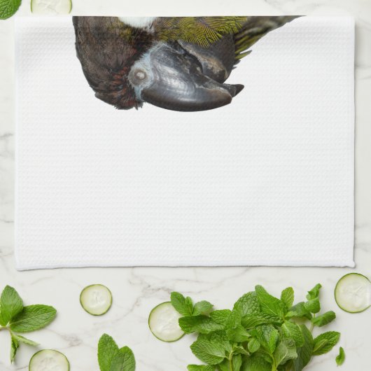 Linge De Cuisine Cheeked vert Conure (Plié)