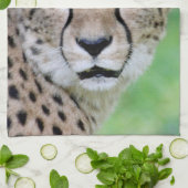 Linge De Cuisine Cheetah 009 (Plié)