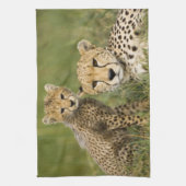 Linge De Cuisine Cheetah, Acinonyx jubatus, avec Cub (Vertical)