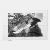 Linge De Cuisine Cheval (Horizontal)