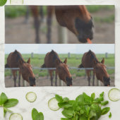 Linge De Cuisine Cheval À La Recherche D'Une Carotte (Plié)