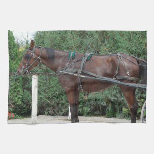 Linge De Cuisine Cheval Amish (Horizontal)