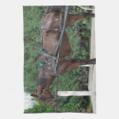 Linge De Cuisine Cheval Amish (Vertical)