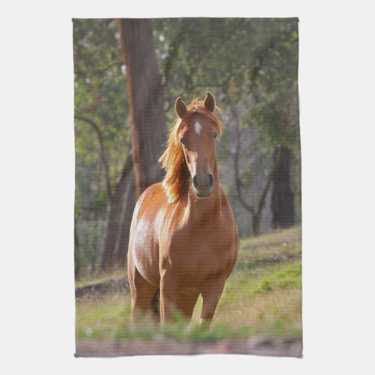 Linge De Cuisine Cheval dans les bois (Vertical)