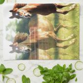 Linge De Cuisine Cheval de course (Plié)