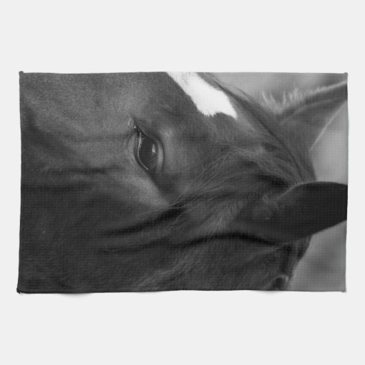 Linge De Cuisine Cheval ktcnm (Horizontal)