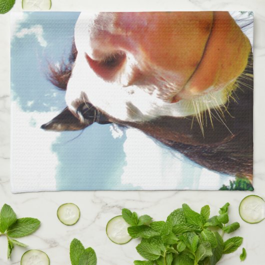 Linge De Cuisine Cheval souriant (Plié)