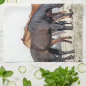 LINGE DE CUISINE CHEVAUX (Plié)