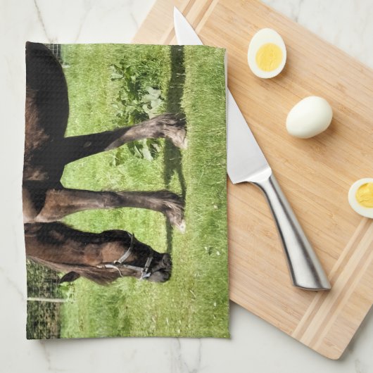 LINGE DE CUISINE CHEVAUX (Quart Plié)