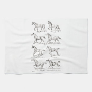 Linge De Cuisine Chevaux vintages d'illustration de démarches de