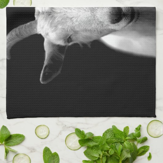 Linge De Cuisine Chèvre (Plié)