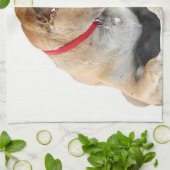 Linge De Cuisine chien (Plié)