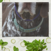 Linge De Cuisine Chien allemand d'indicateur aux cheveux courts (Plié)