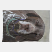 Linge De Cuisine Chien allemand d'indicateur aux cheveux courts (Horizontal)