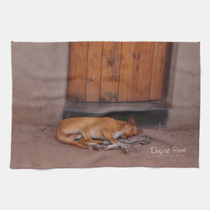 Linge De Cuisine Chien au repos
