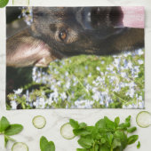 Linge De Cuisine Chien de berger allemand (Plié)