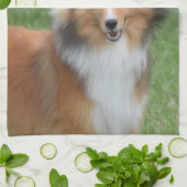 Linge De Cuisine Chien de berger de Shetland (Plié)