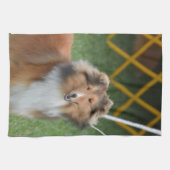 Linge De Cuisine Chien de berger de Shetland (Horizontal)