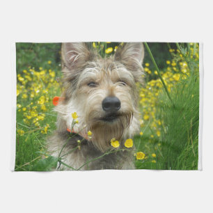 Linge De Cuisine Chien de Berger Picard