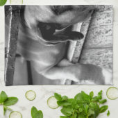 Linge De Cuisine Chien de boxe sur Windowsill ktm (Plié)