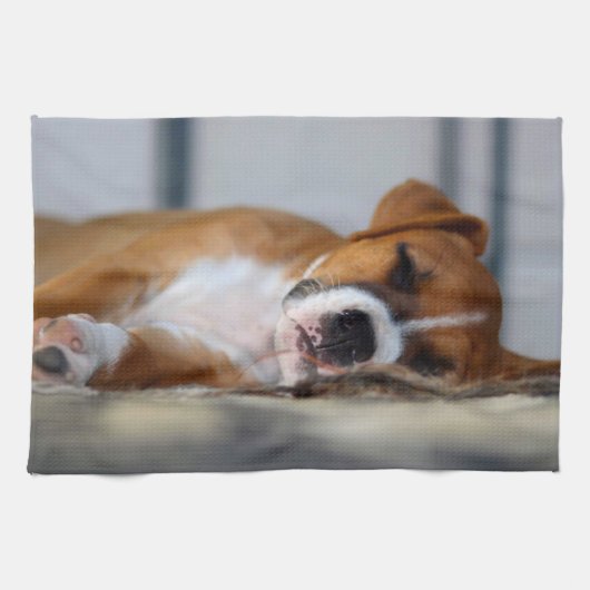 Linge De Cuisine Chien de compagnie mignon (Horizontal)