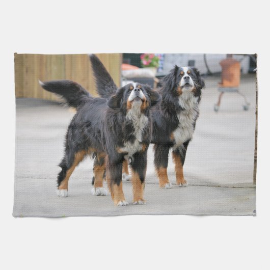 Linge De Cuisine Chien de compagnie mignon (Horizontal)