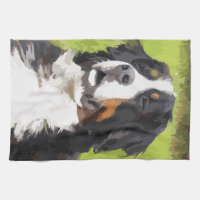 Chien de montagne de Bernese