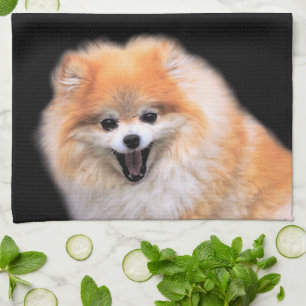 Linge De Cuisine Chien Poméranien mignon riant