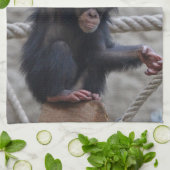 Linge De Cuisine Chimpanzé 017 (Plié)