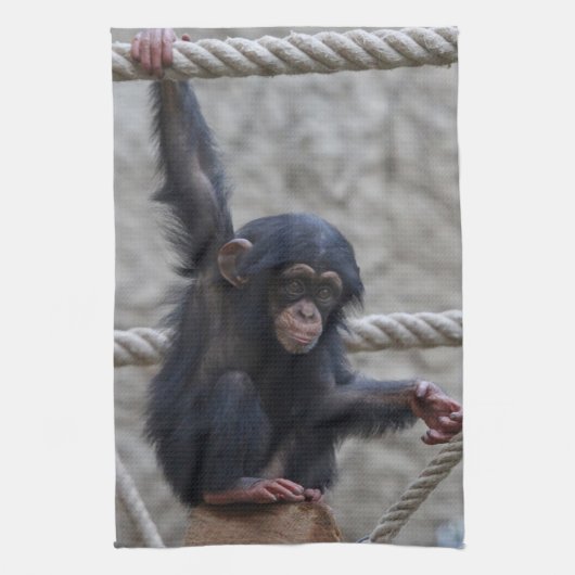 Linge De Cuisine Chimpanzé 017 (Vertical)