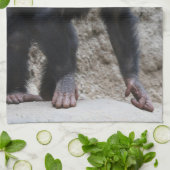 Linge De Cuisine Chimpanzé 031 (Plié)