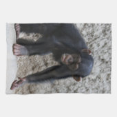 Linge De Cuisine Chimpanzé 031 (Horizontal)