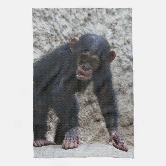 Linge De Cuisine Chimpanzé 031 (Vertical)