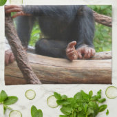 Linge De Cuisine Chimpanzée 001 (Plié)