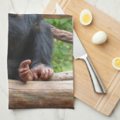 Linge De Cuisine Chimpanzée 001 (Quart Plié)