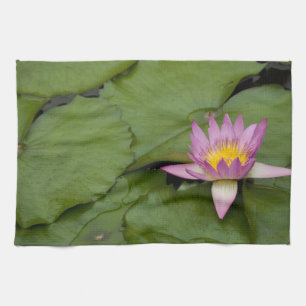 Linge De Cuisine Chine, Hong Kong, Nouveaux Territoires. Chi Lin