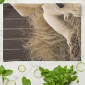 Linge De Cuisine Chiot Labrador Retriever (Plié)