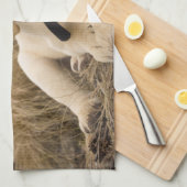 Linge De Cuisine Chiot Labrador Retriever (Quart Plié)