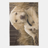 Linge De Cuisine Chiot Labrador Retriever (Vertical)
