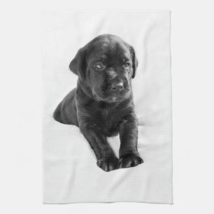 Linge De Cuisine Chiot noir de chien de Labrador