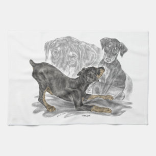 Linge De Cuisine Chiots Doberman Pinscher