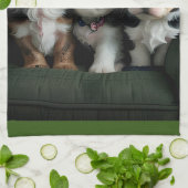 Linge De Cuisine Chiots super mignons sur le canapé 2 (Plié)