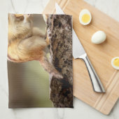 Linge De Cuisine Chipmunk mange une cacahuète (Quart Plié)