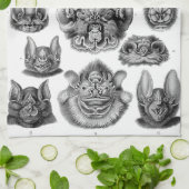 Linge De Cuisine Chiroptera de Haeckel (Plié)