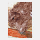 Linge De Cuisine Chocolat Labradoodle Jackson (Vertical)